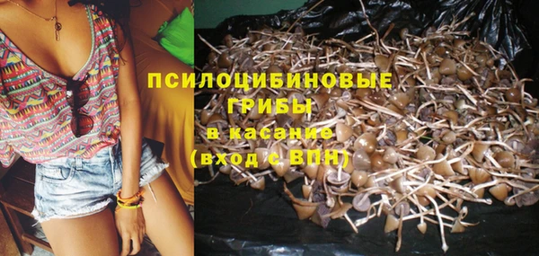 2c-b Баксан